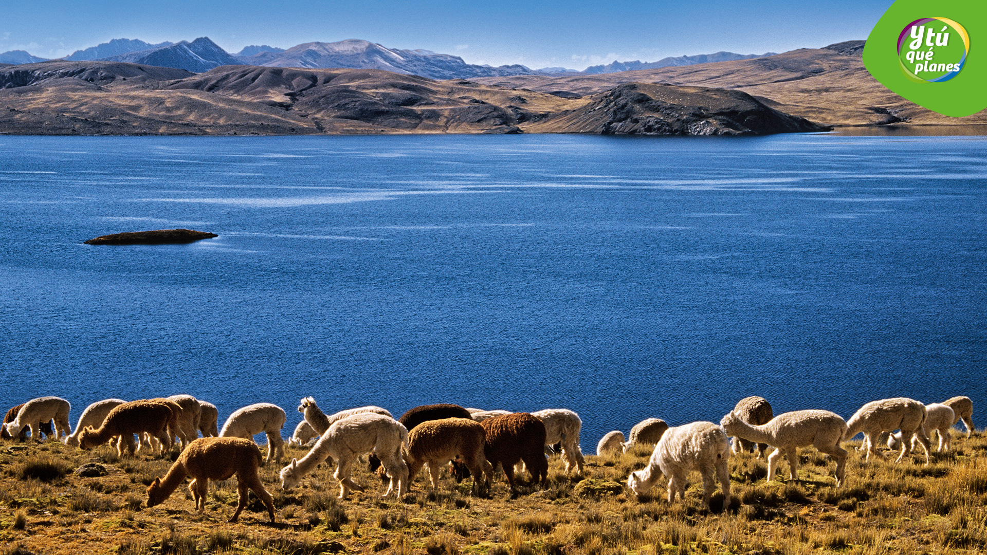 Laguna Choclococha